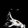 Prince Hall Freemasonry rituals